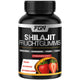 FGN Shilajit Fruchtgummies