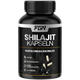 FGN Shilajit Kapseln
